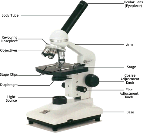 Parts of the Microscope - Cells For Dummies